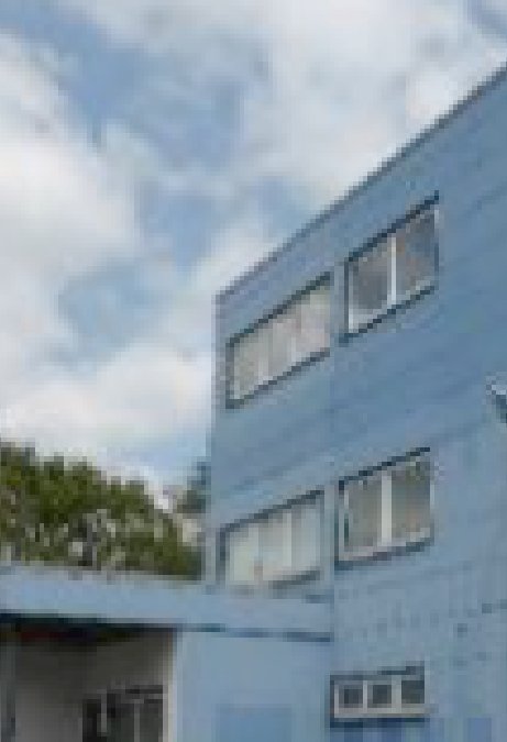 Deconstruction, Reorganisation – Deutsche Reihenhaus AG, Essen